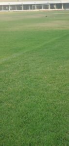 IMG 20201130 WA0016 1