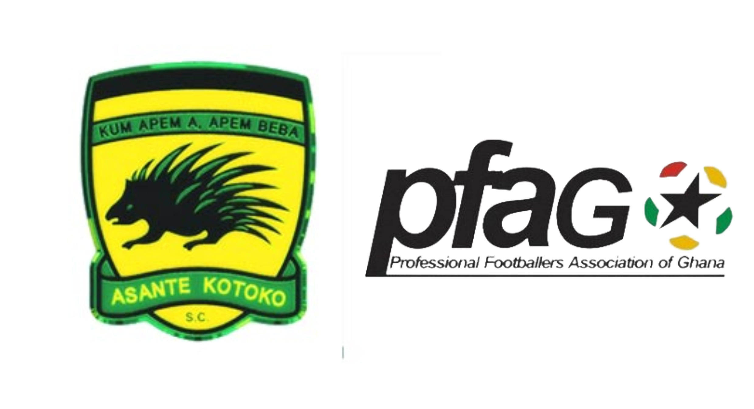 kotoko pfag