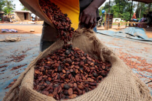 Ivory Coast Cocoa Ports Face Congestion Risk as Crop Delayed Before EU Deadline