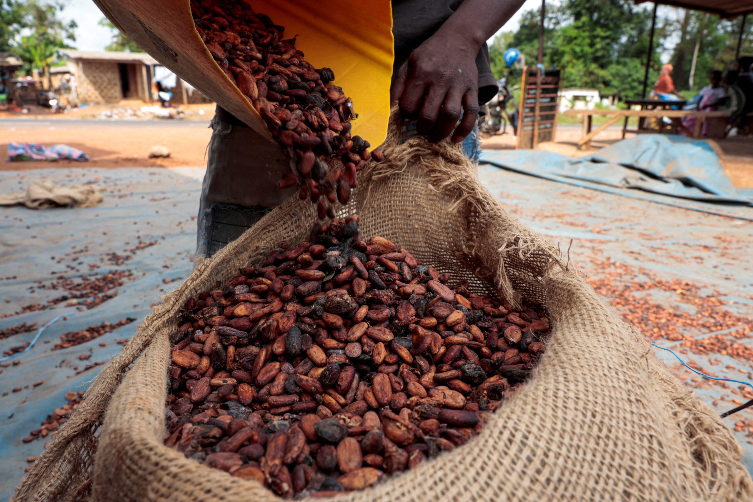 Ivory Coast Cocoa Ports Face Congestion Risk as Crop Delayed Before EU Deadline