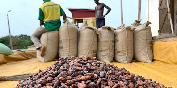 COCOBOD Raises Cocoa Producer Price to GH¢42,400 Per Tonne for 2026/27 Season