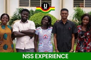 How to Check Your NSS Posting