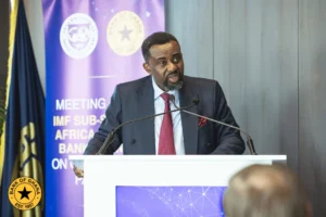 What the Auditor-General Does
